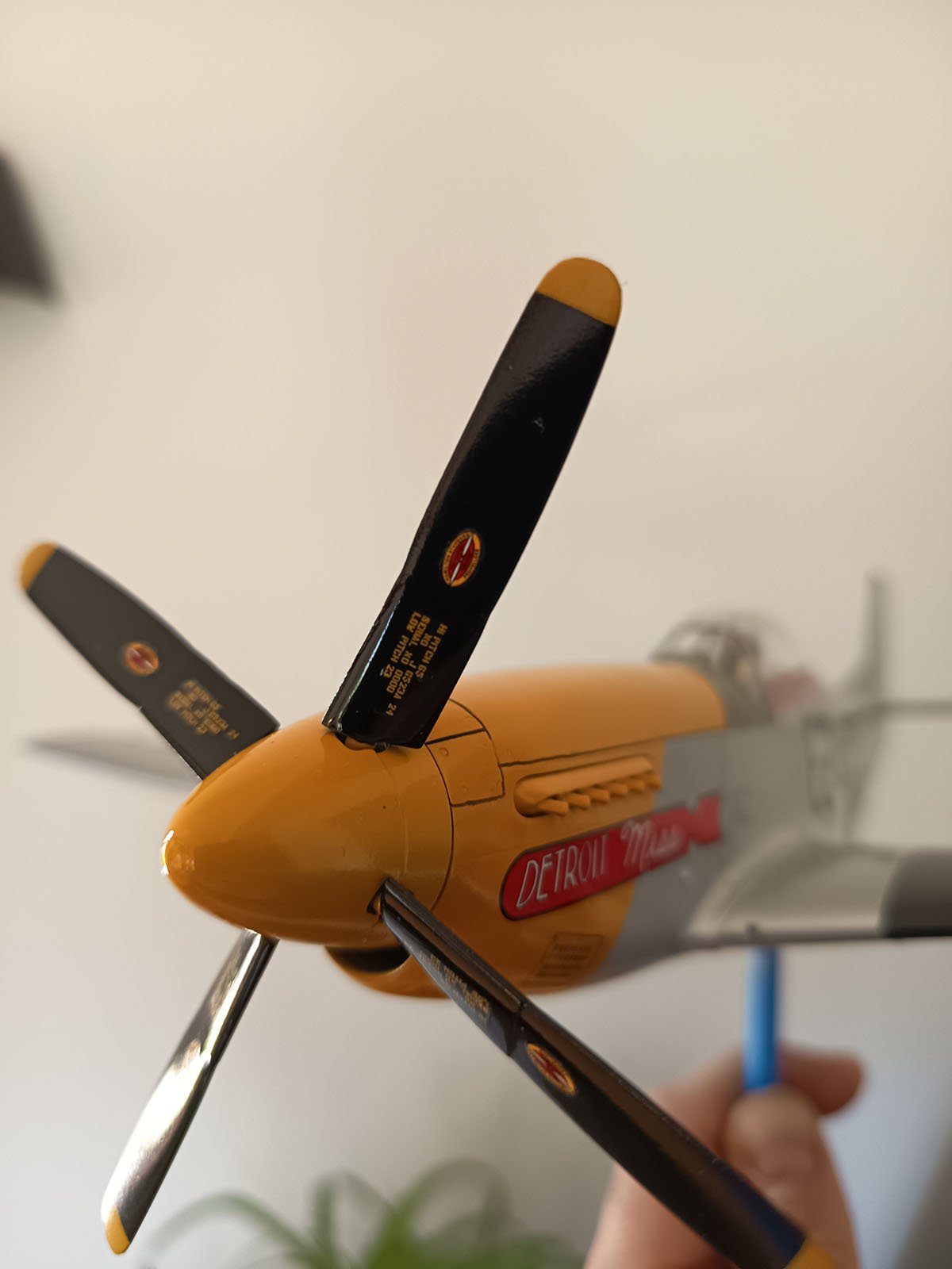 Test Image Gallery